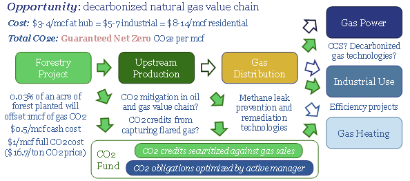 How to structure a decarbonized gas value chain with forests