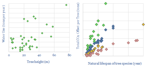 CO2 uptake rates in forests by tree type