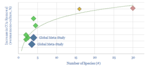 Forest carbon correlation with biodiversity