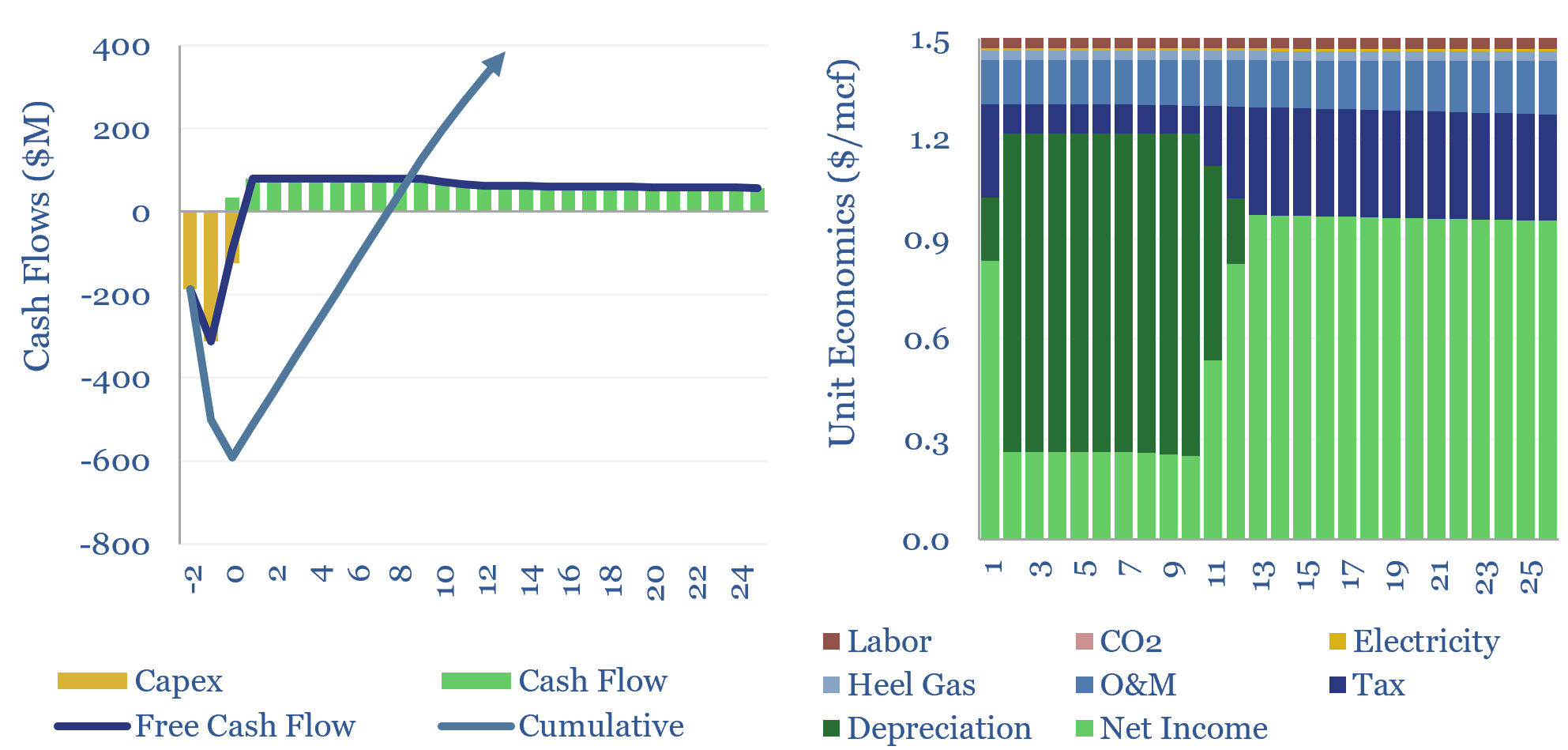 Gas storage: the economics?
